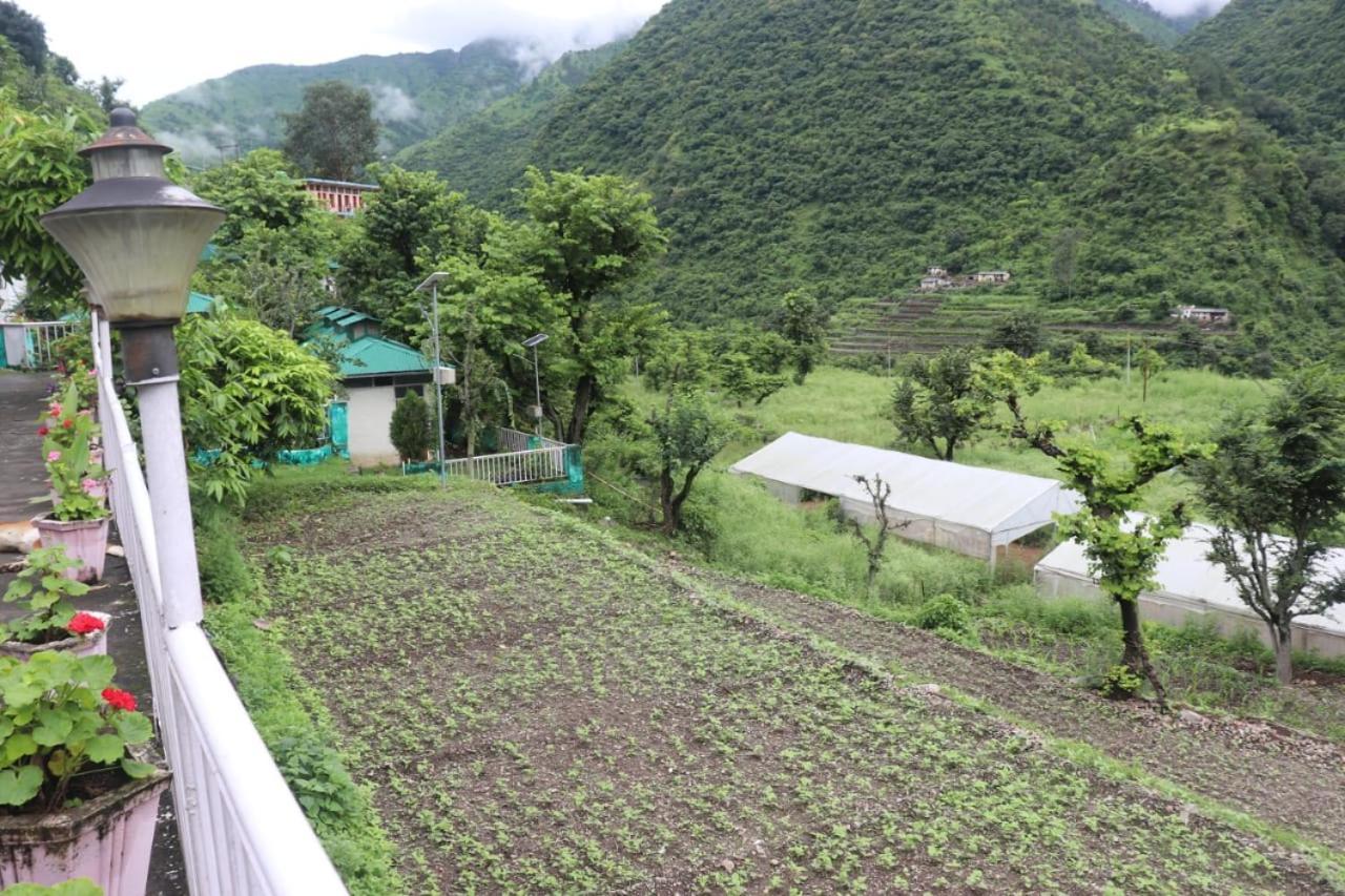 Kalindi nature resort Lakhamandal Myani Bagian luar foto